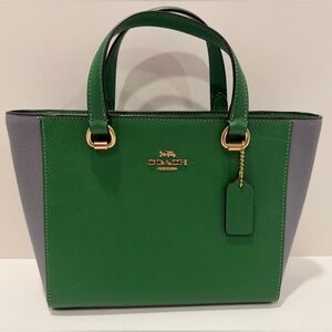 Coach Gray/Green Colorblock Alice Satchel